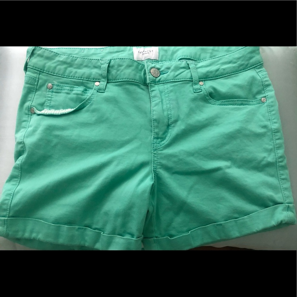 Turquoise Blue Celebrity Pink Shorts